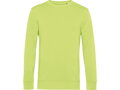 Inspire Crew Neck_° - pánska mikina