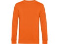 Inspire Crew Neck_° - pánska mikina