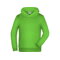 jn-796k_lime-green