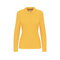 k-244_yellow