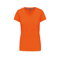 k-381_orange