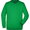 jn-40_fern-green