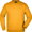 jn-40k_gold-yellow